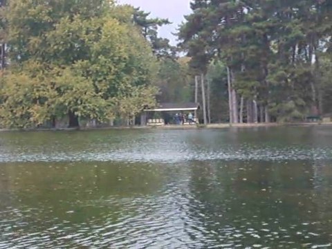 LES TROMPO-FOLIES DU BOIS DE BOULOGNE : L'arrivée au bois