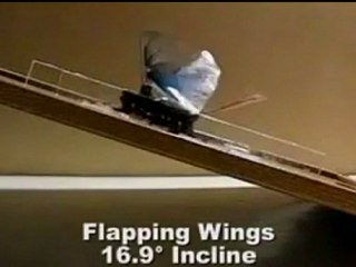 FLYING ROBOT: DASH gives clues on evolution of flight