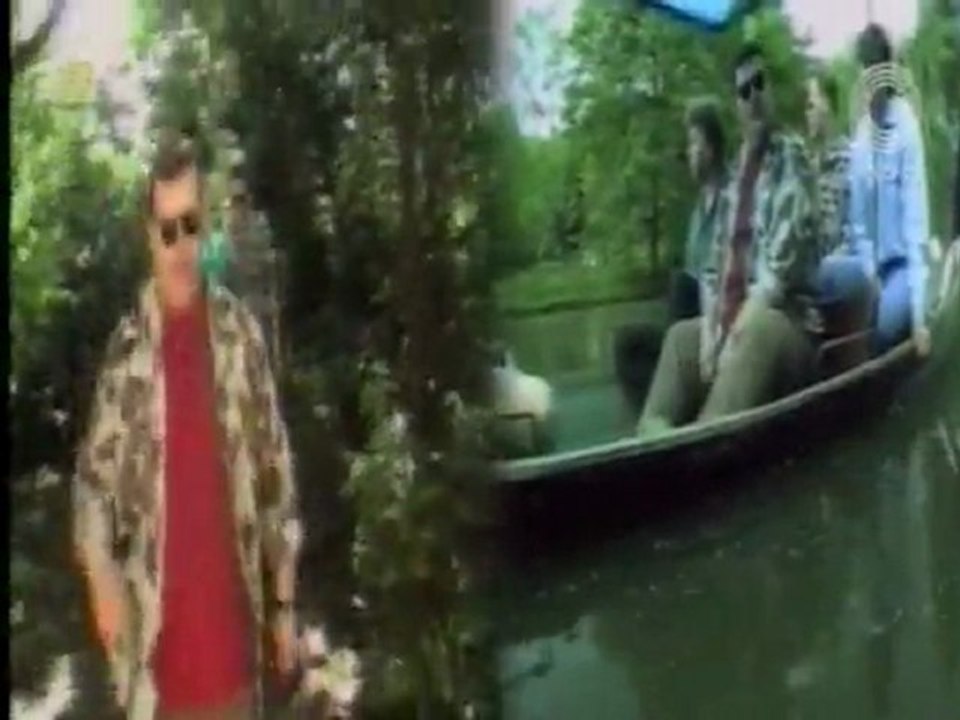 Irys - Białe łabędzie