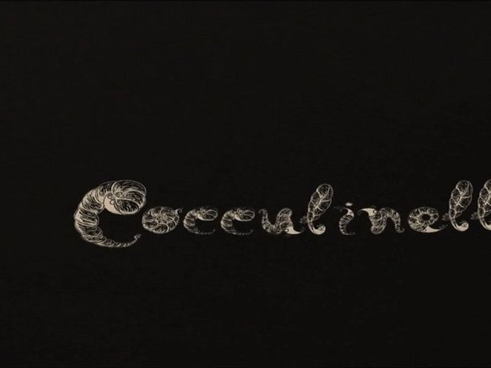 Making of (4) de Cocculinellida