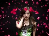 Girls Generation 소녀시대_THE BOYS_Music Video (ENG ver.)