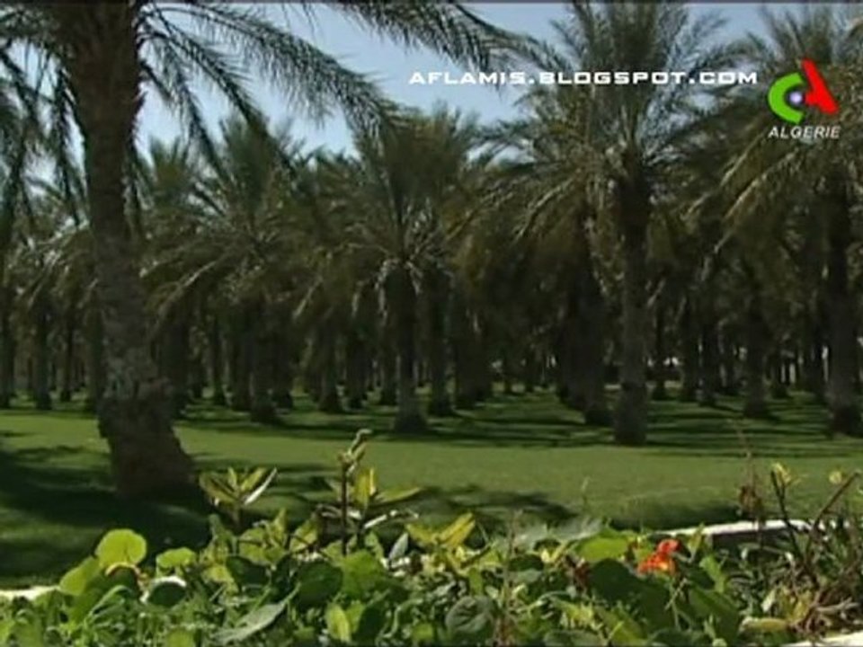Oued El Souf