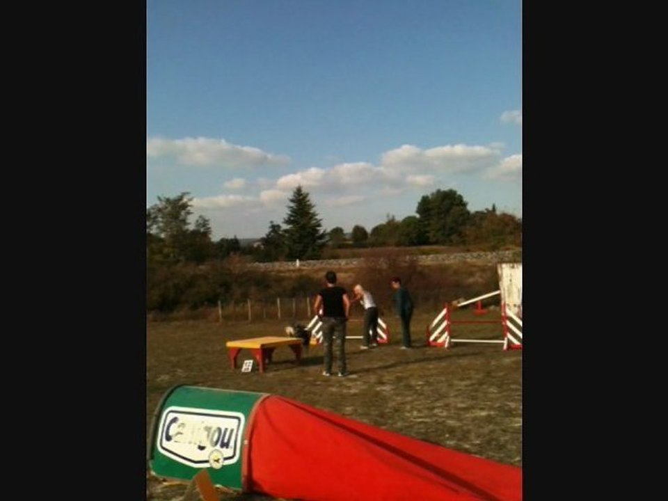 AGILITY_JUIN_OCTOBRE_2011