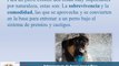 Guía de Entrenamiento Canino y Entrenamiento de Perros