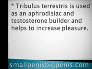 What Herbal Ingredients Might You See in Penile Enlargement Tablets?