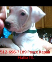 512-696-7189 Fence Repair Hutto TX.1