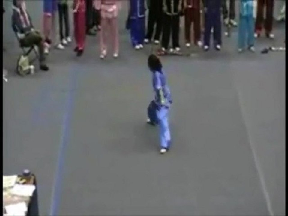 Wushu, Karate & Tae Kwon Do  Fremont, CA