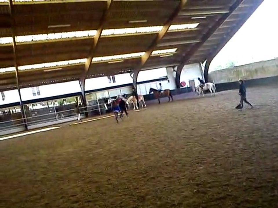 Silver fait son chauwe!