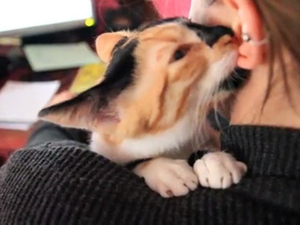 Olga et l'oreille de Phlau 21 oct 2011 (3)