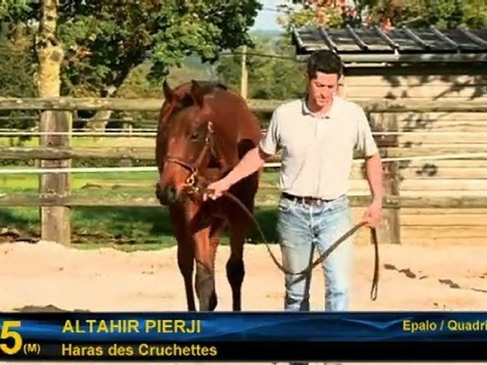 Altahir Pierji