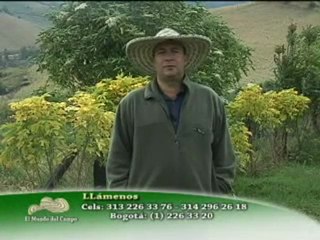 1_SABADO 22 OCTUBRE 2011 ovejos san isidro sibate