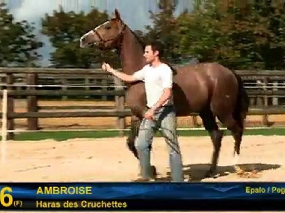Ambroise