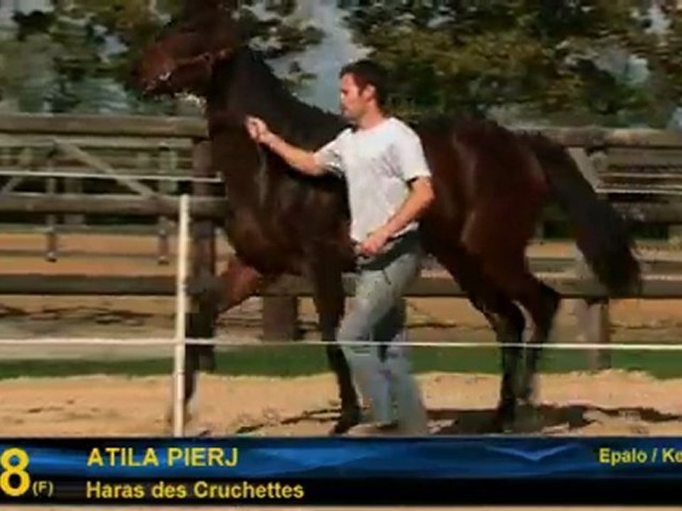 Atila Pierji