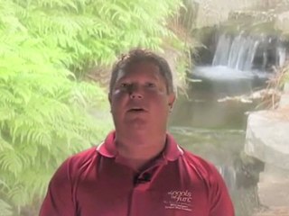 Great info for InGround Pools Indianapolis