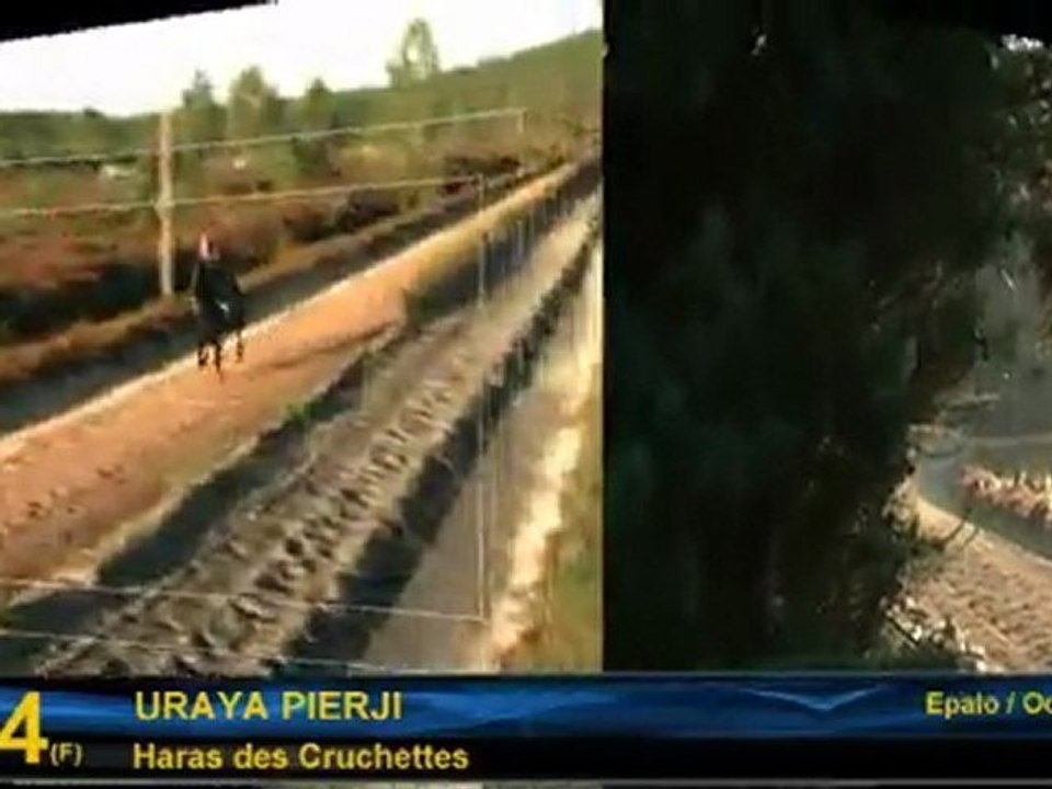 Uraya Pierji