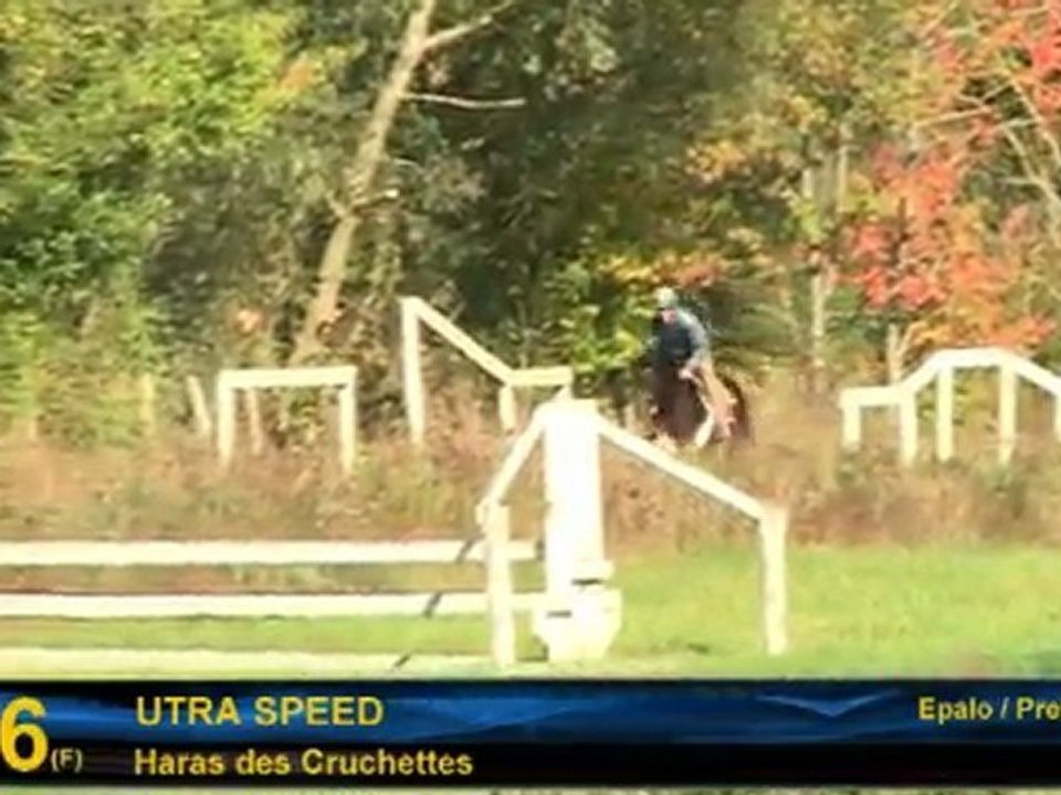 Utra Speed