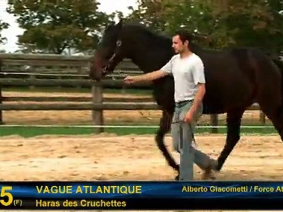 Vague Atlantique