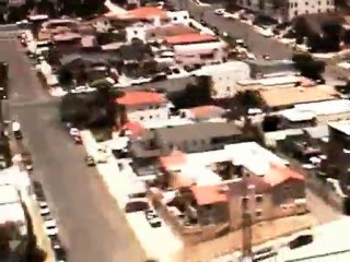 “Where Fruit is Sweet” by Mark Hayden. mark