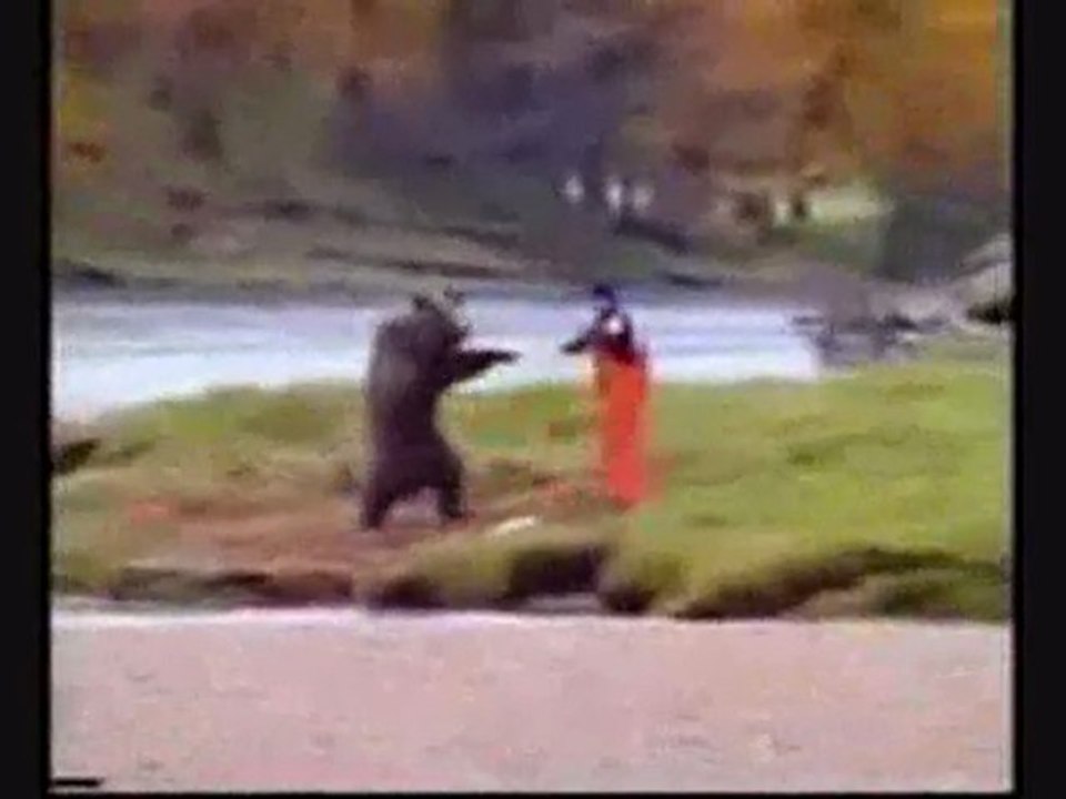 Guy Fights Bear For Fish