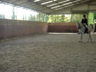 Concours Trainou 16 octobre 2011