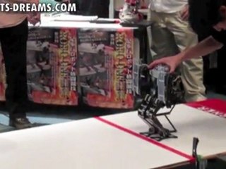 ROBO-ONE 19 - 9 Meter Dash - Frosty