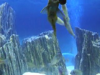 18.10.2011 ilangi yavru