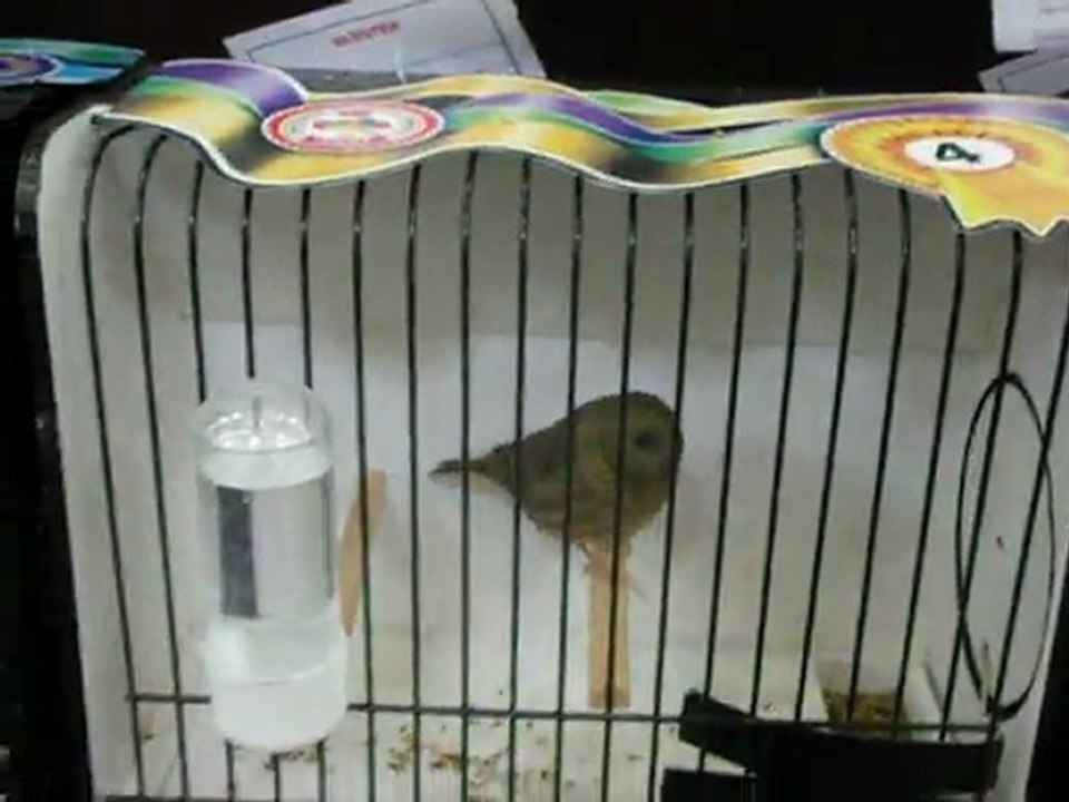 DÜZ RENK  TEPELİLER