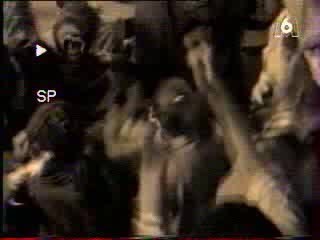 Lord Finesse - Return of the Funky Man