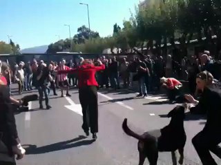 Σκετσάκι ξένων δημοσιογράφων στη Βουλή -2-