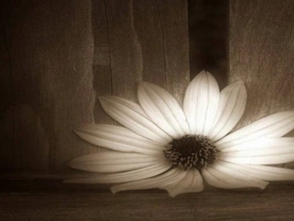 Göksel Baktagir - Ağlama