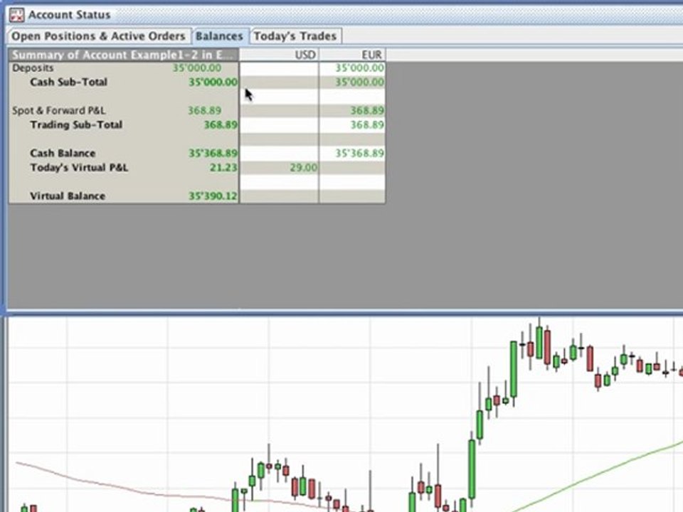 6/9 Account status window on the Forex trading platform