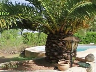 Javea Estates, property sales