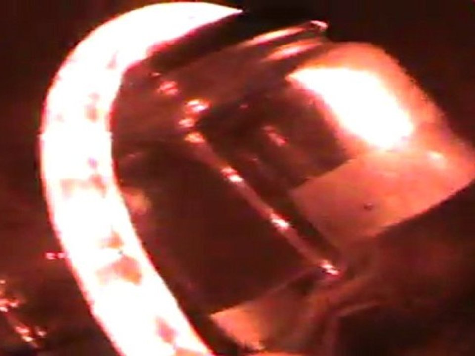 Stadt Fisch Flex