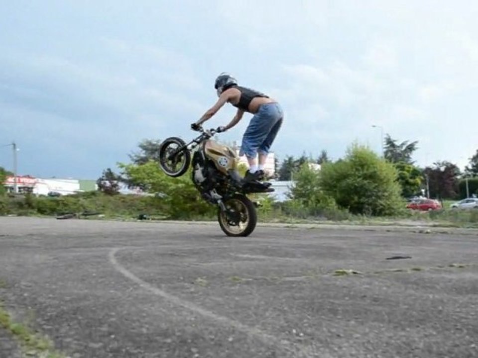 Trailer DSR Summer 2011