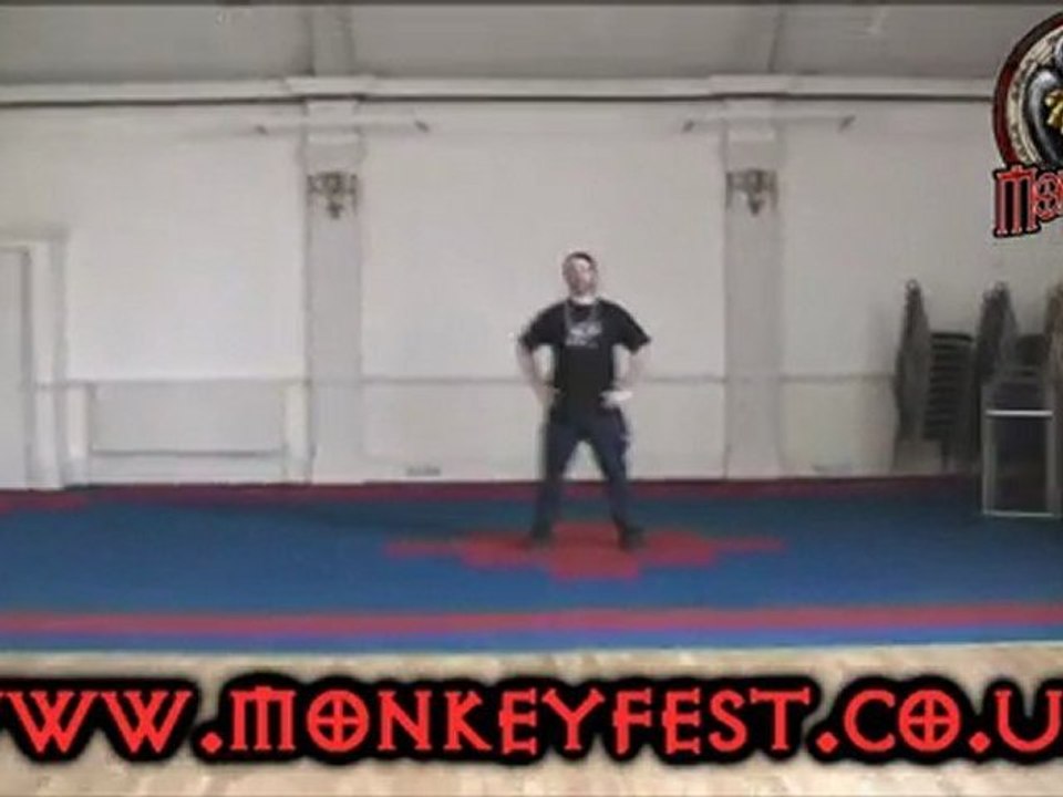 MonkeyFest 2011 (Guitar Tuition Festival)  - Promotional Propaganda 1