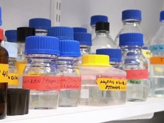 L'inflammation : mi-ange, mi-démon