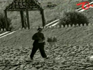 Velugu Needalu Songs - Chitti Potti Chinnari - ANR - Savitri
