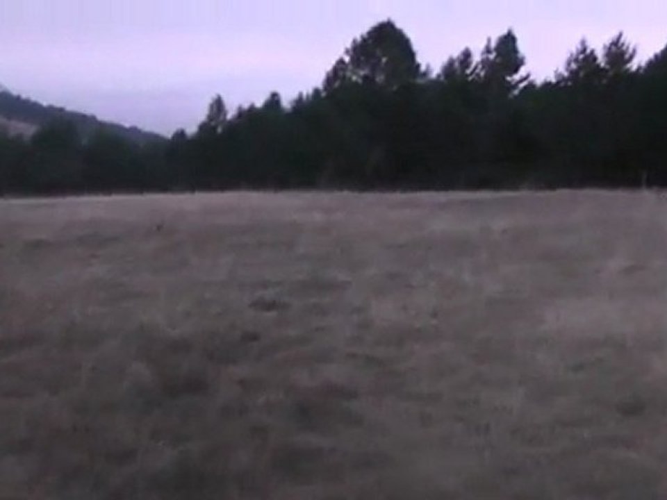 Sortie du 19/10/2011 (1ere attaque)