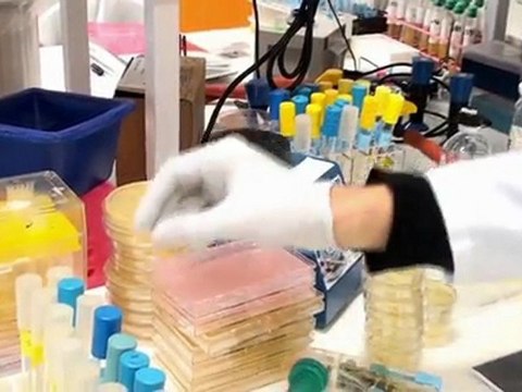 Infections nosocomiales, ces maladies contractées à l'hôpital