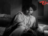 ANR Old Songs | ANR Devadasu Movie | Jagame Maya Song | ANR | Savitri