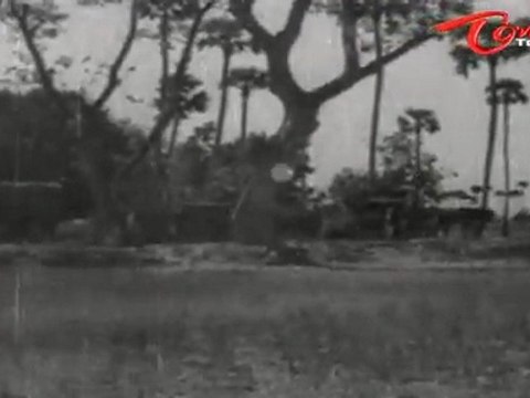 Old Songs| Devadasu Movie | Kala Idhani Song | ANR | Savitri