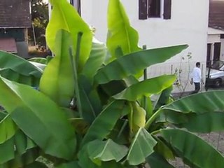 Un après midi d'automne 2011 à Buros (3)