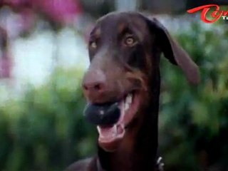 Kaikala Satyanarayana Plans To Kill Rajasekhar - Tremendous Comedy