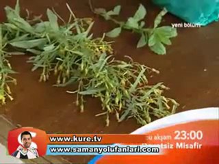 Davetsiz Misafir - Manisa [HQ]