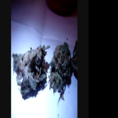 EViLDeDs Presents one of my favorite strains of all times...