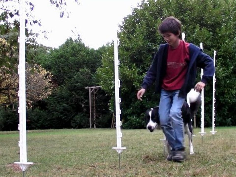 Slalom1
