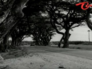 Bangaru Pichuka - Manase Gani - Chandra Mohan - Vijaya Nirmala