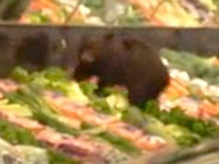 Un ours s'invite dans les rayons d'un magasin !