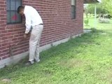 McAllen Pest Control - Termites