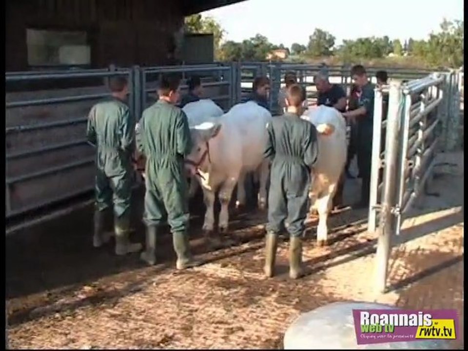 FETE du CHAROLAIS 2011